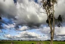 游戏工具下载(陆续整理中)--游戏开发工具