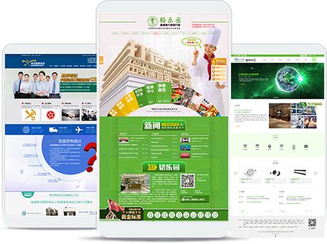 手机网站建设,手持终端网站开发